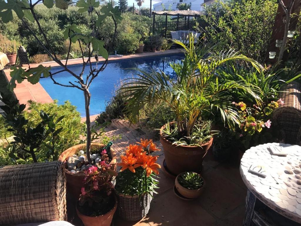 Bed and Breakfast Casa Bahia De Casares Екстер'єр фото